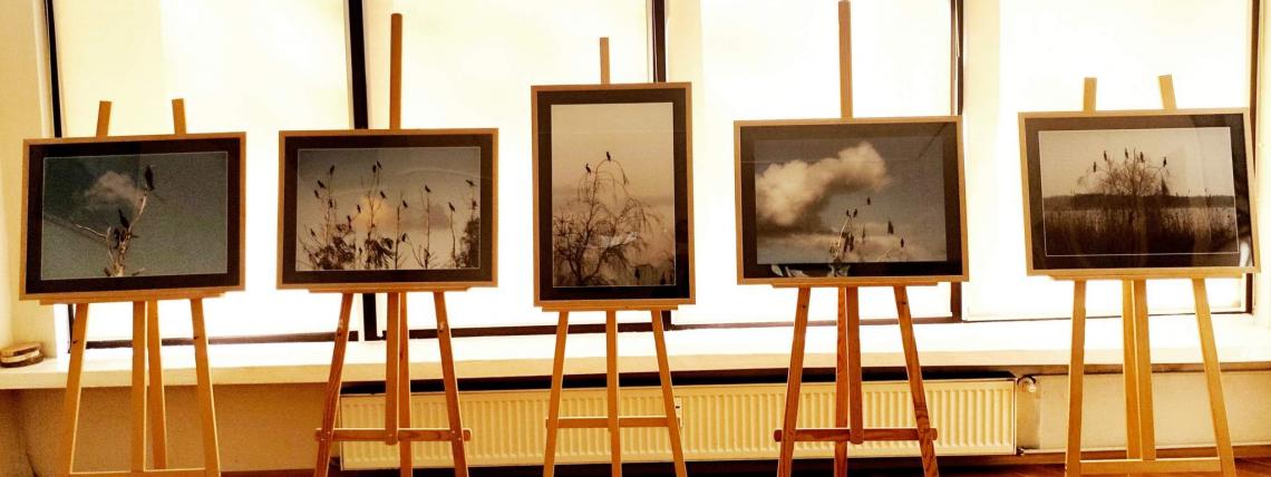 Wystawa fotografii pt. &quot;Ptaszory&quot; autorstwa Ziemowita Kalkowskiego.